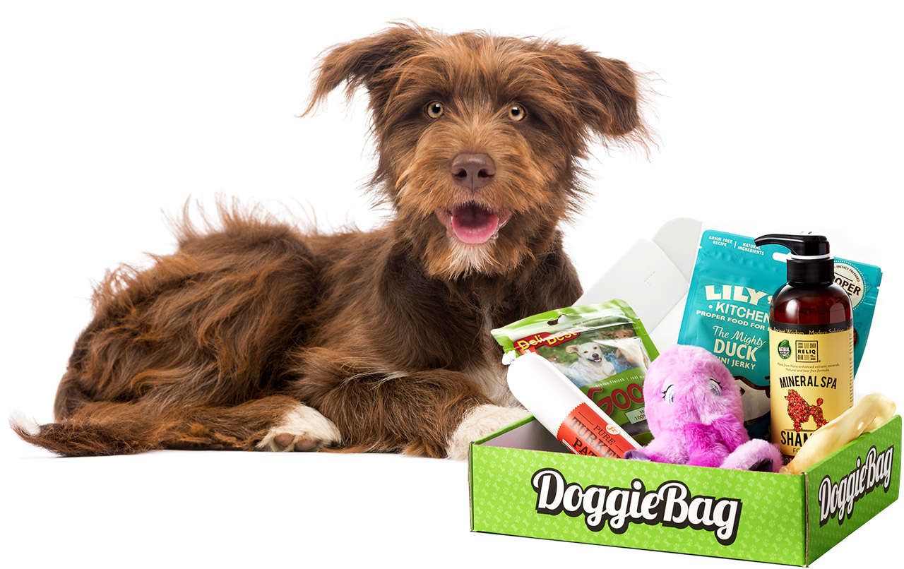 Eventyrblanding poserer fint med sin DoggieBag overraskelsespakke til hund