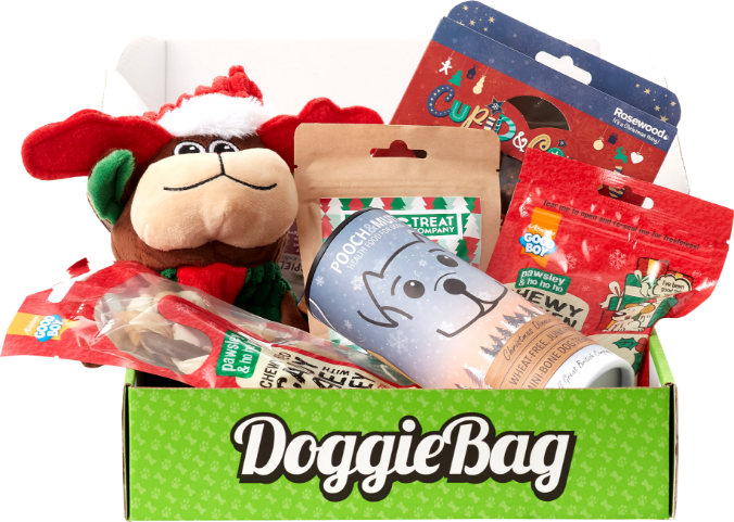 DoggieBag overraskelsespakke til hund med juletema