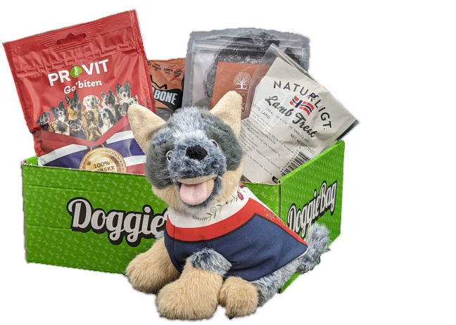 DoggieBag overraskelsespakke til hunder