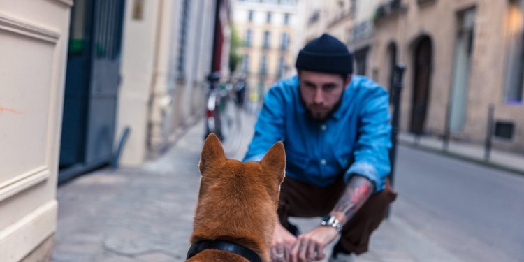 Styrk samholdet til hunden din med disse kontaktøvelsene