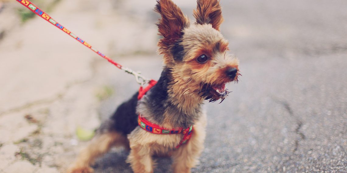 Passering og utagering