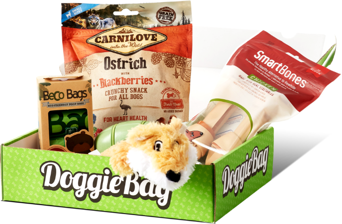 Overraskelsespakke til hund fra DoggieBag med miljøvennlige produkter fra Beco