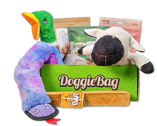 DoggieBag overraskelsespakke til hunder