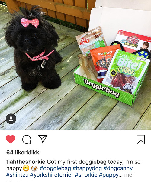 Tiah er fornøyd med sin første DoggieBag