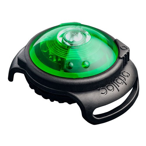 Grønn LED-blinker med krok  Pets of Norway - Utstyr til hund, katt og fisk  på nett