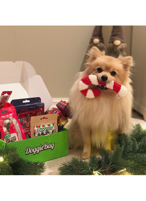 DoggieBag Julegave til Småhunder, Andre Produkter til Hund