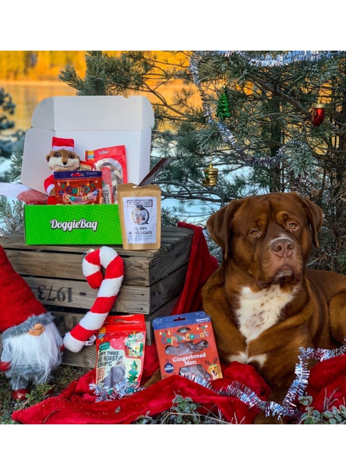 DoggieBag Julegave til Store Hunder, Andre Produkter til Hund