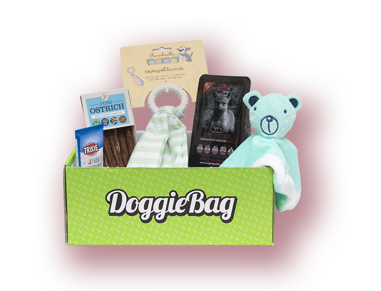 DoggieBag Junior valpepakke med koseklut til valpen